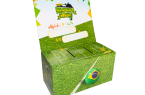 Urne WK Brazilië